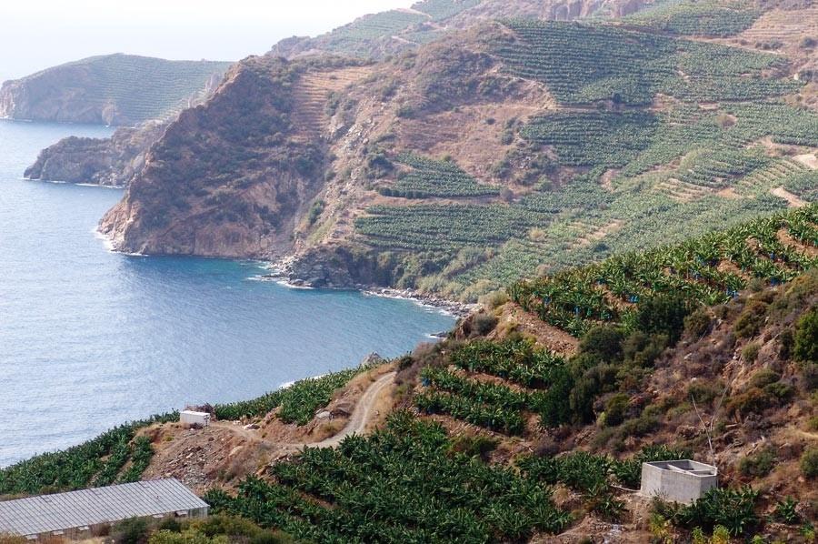 İlgili resim