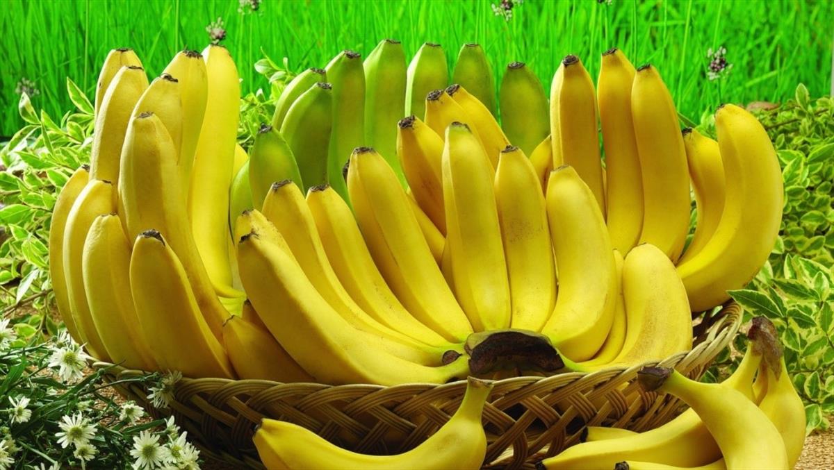 banana fruit ile ilgili görsel sonucu