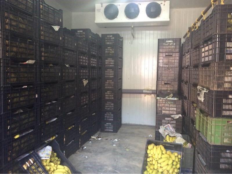 banana storage ile ilgili görsel sonucu